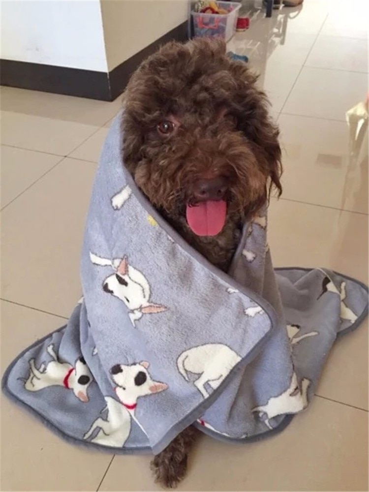 Coral Fleece Dog Print Warm Soft Bed Blanket